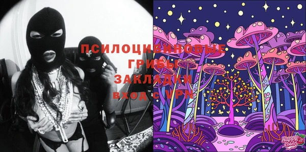 крисы Гусев