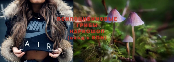 крисы Гусев