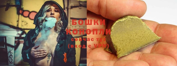 стаф Дмитров
