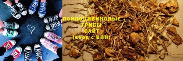 крисы Гусев